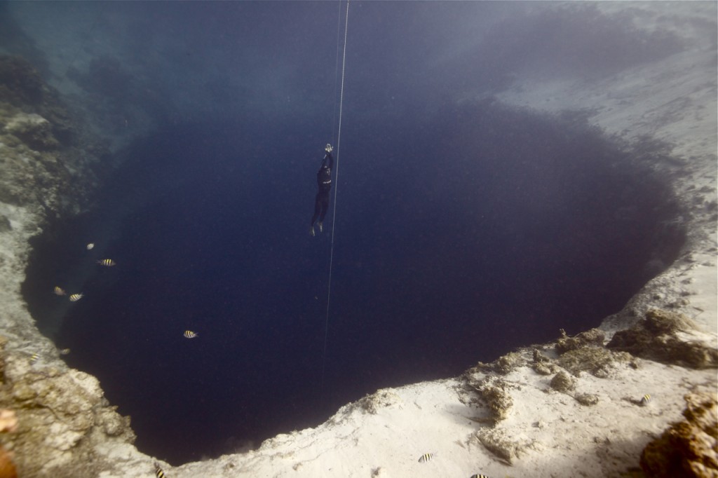 Will Trubridge dans son Dean's Blue Hole photo : Daan Verhoeven