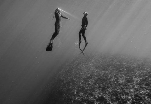 X-men Freediver