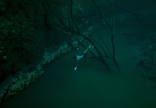 Le Passage avec Guillaume Néry