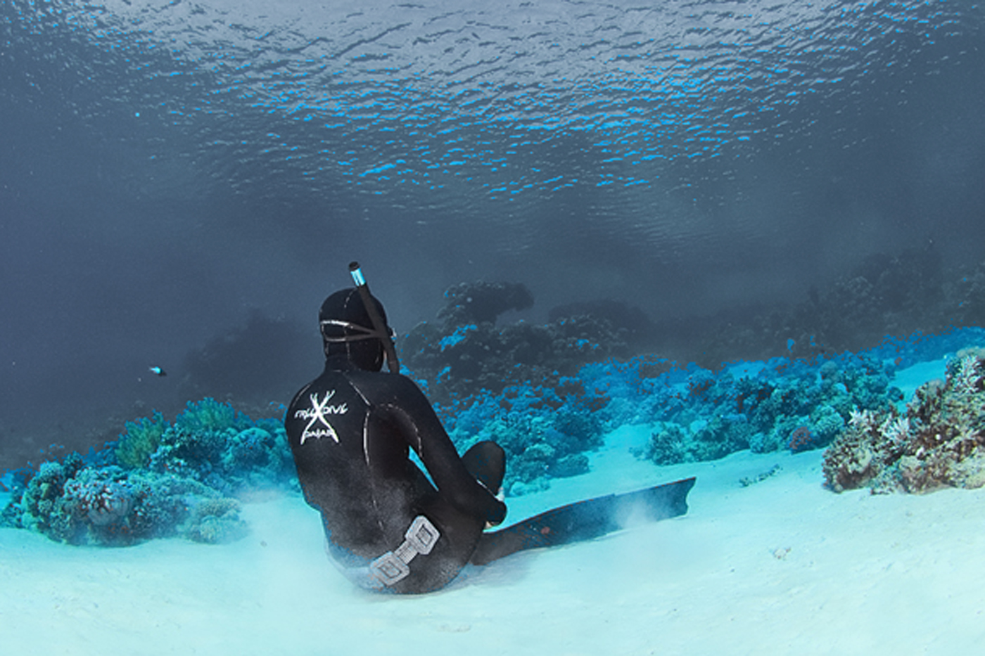 photo : freedive international