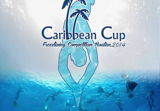 Caribbean Cup 2014 – AIDA