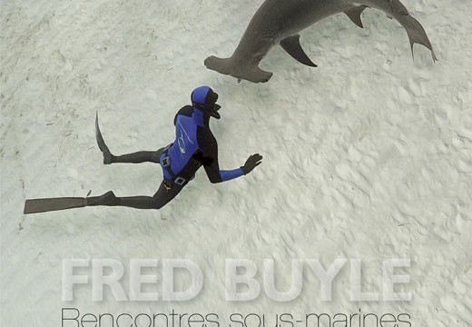 Fred BUYLE, Rencontres sous-marine, Glénat (2014)