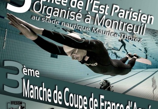 3e manche de la Coupe de France FFESSM – Montreuil 2015