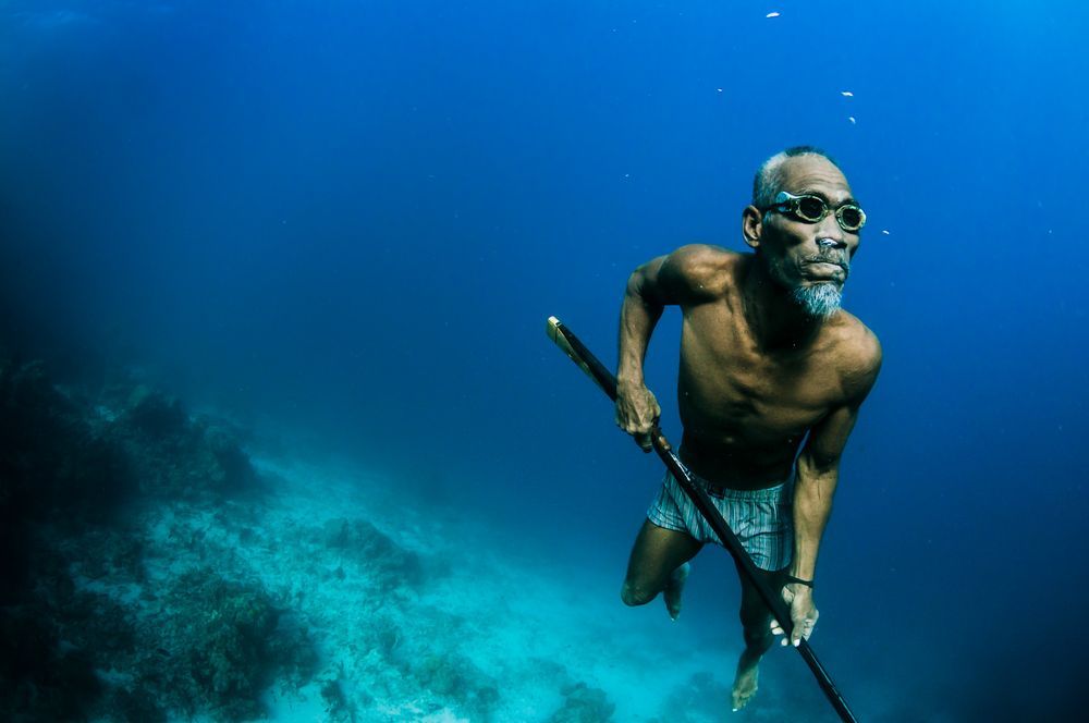 bajau