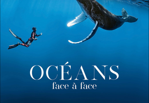 [LIVRE] Océans Face à face